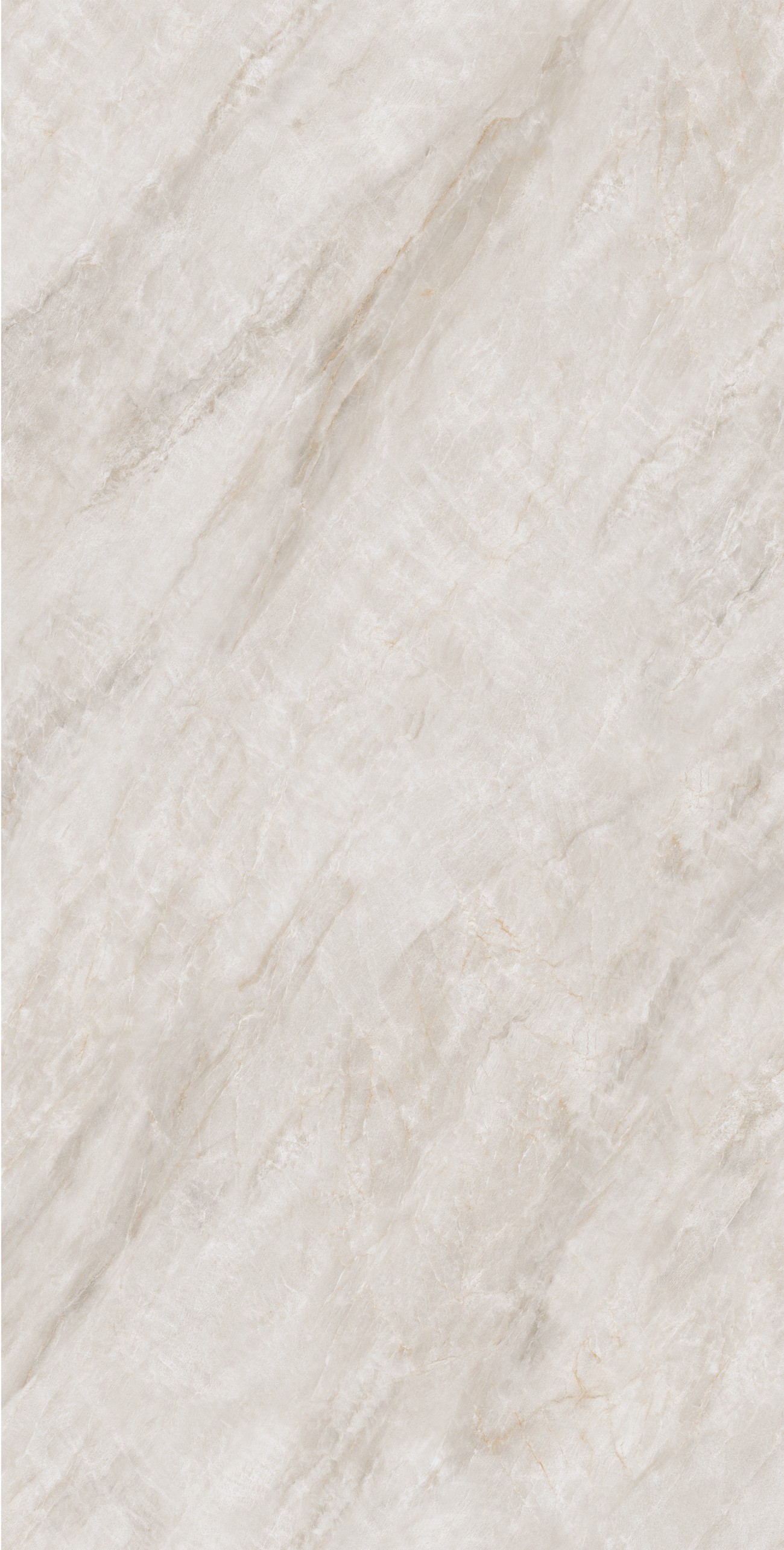 RL612YY109A2可可西里