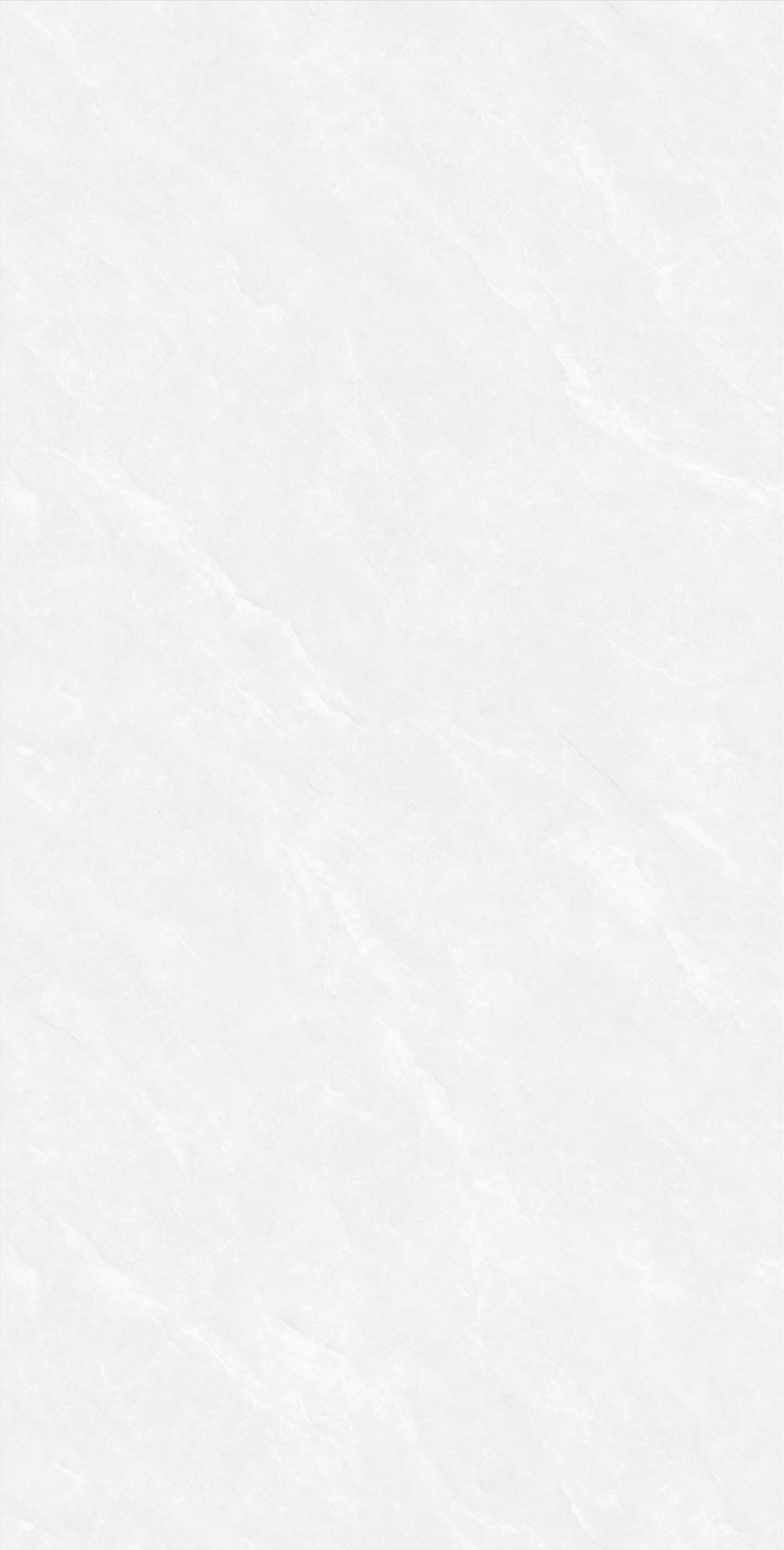 612SS002A香槟杏灰