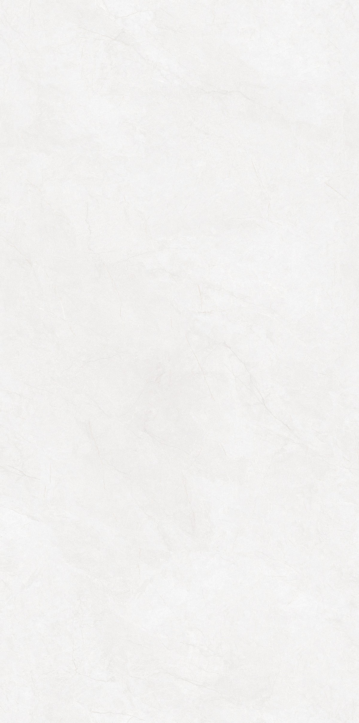 48T005A伊尔兰奶灰