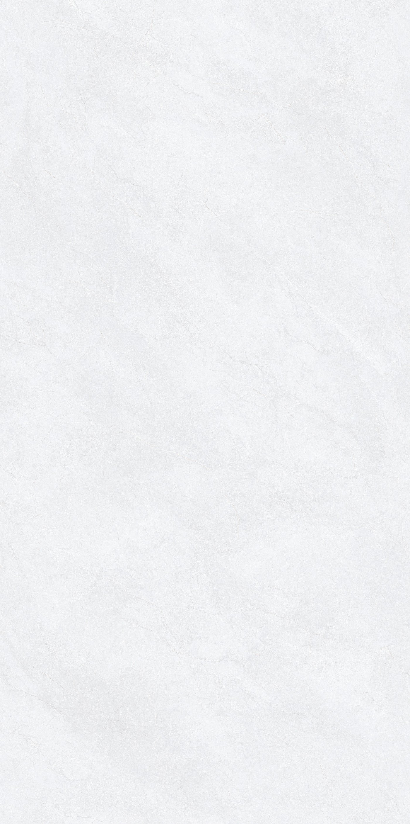 612T005A2伊尔兰奶灰