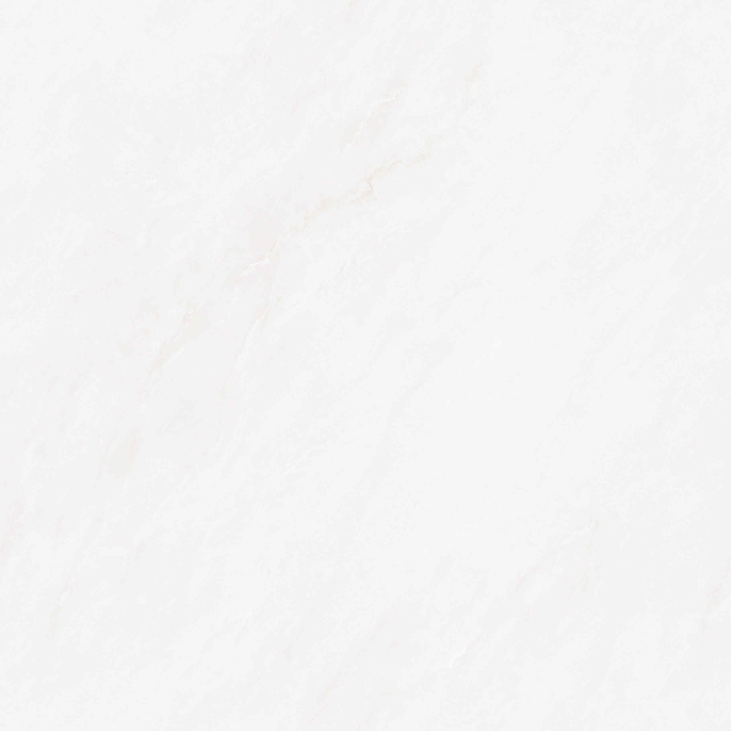 8XZA021A素影纱灰